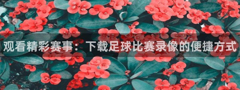 观看精彩赛事：下载足球比赛录像的便捷
