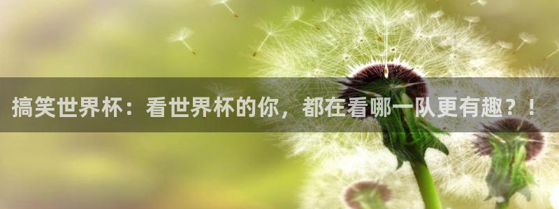 搞笑世界杯：看世界杯的你，都在看哪一队更有趣？！
