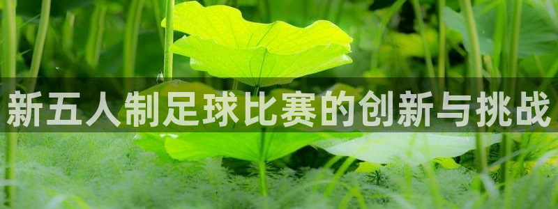 新五人制足球比赛的创新与挑战