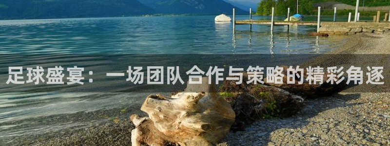  足球盛宴：一场团队合作与策略的精彩角逐