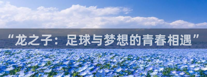 “龙之子：足球与梦想的青春相遇”