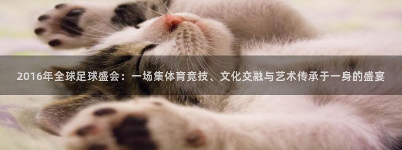 2016年全球足球盛会：一场集体育竞技、文化交融与艺术传承于