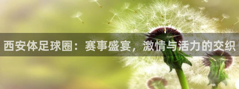  西安体足球圈：赛事盛宴，激情与活力的交织