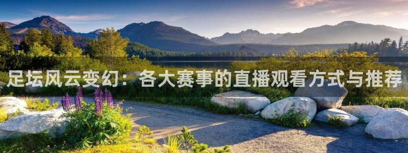 足坛风云变幻：各大赛事的直播观看方式与推荐