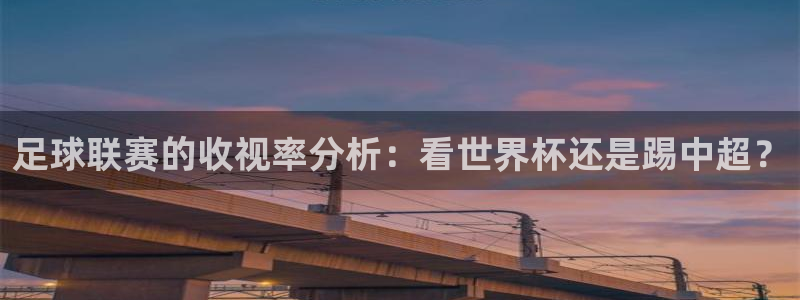 足球联赛的收视率分析：看世界杯还是踢中超？