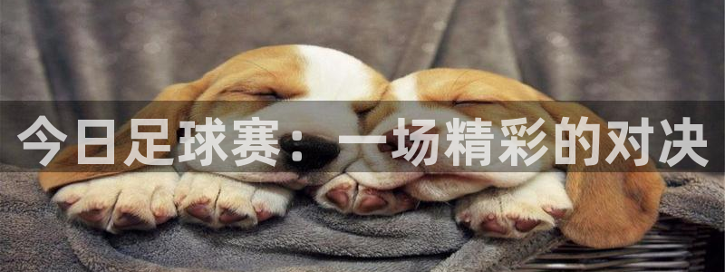 今日足球赛:一场精彩的对决