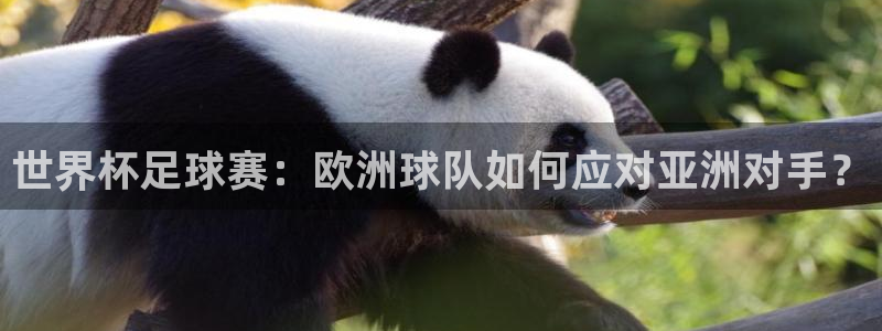  世界杯足球赛：欧洲球队如何应对亚洲对手？