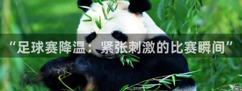 “足球赛降温：紧张刺激的比赛瞬间”