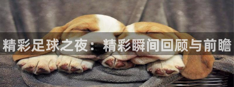 精彩足球之夜：精彩瞬间回顾与前瞻