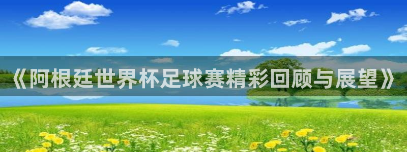 《阿根廷世界杯足球赛精彩回顾与展望》