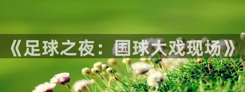 《足球之夜：国球大戏现场》