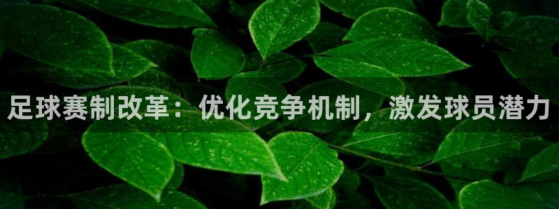 足球赛制改革：优化竞争机制，激发球员