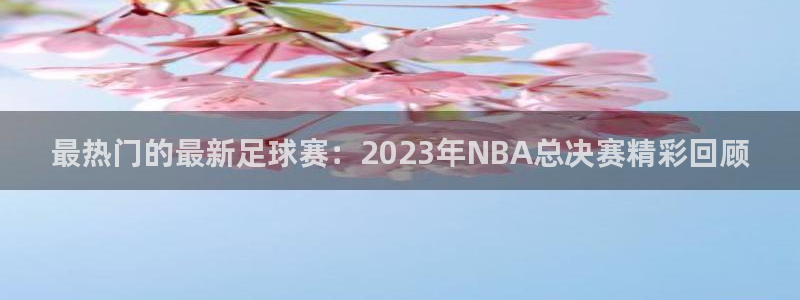 最热门的最新足球赛：2023年NBA