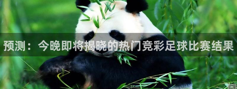 预测：今晚即将揭晓的热门竞彩足球比赛